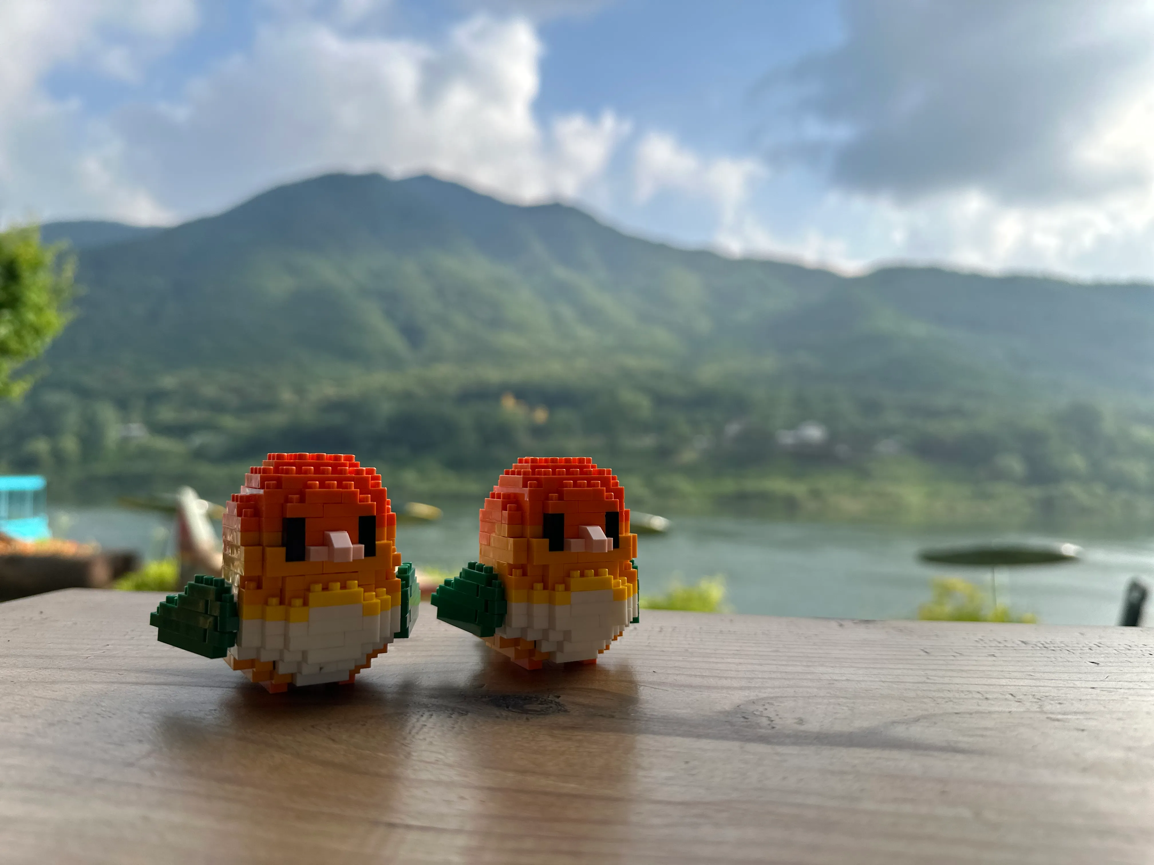 DRY하게 살 것인가, WET하게 남을 것인가