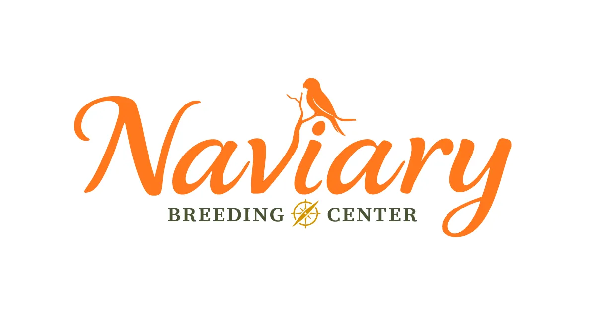 Records, Coordinates, and Direction: Why We Record Technology